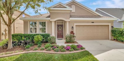 21644 Southern Charm Drive, Land O Lakes