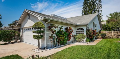 2578 Pine Cove Lane, Clearwater