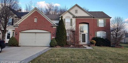 34348 GIANNETTI, Sterling Heights