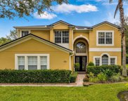 2924 Ponkan Meadow Drive, Apopka image