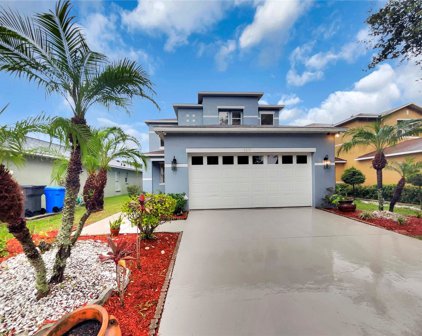 5215 Mango Fruit Street, Seffner