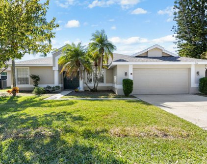714 Belted Kingfisher Drive N, Palm Harbor