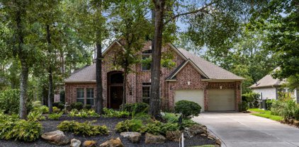 19 Dakota Ridge Place, The Woodlands