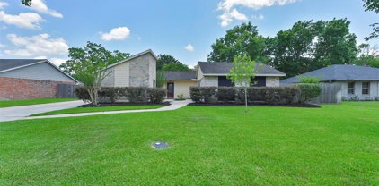 1016 W Castlewood Avenue, Friendswood