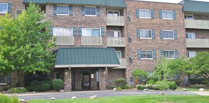 700 Perrie Drive Unit #301, Elk Grove Village