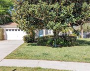 15500 Crystal Creek Court, Clermont image