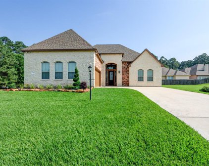 111 Camden Hills Drive, Montgomery