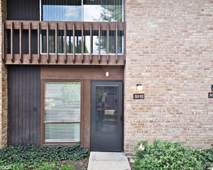 5913 Oakwood Drive Unit #140B, Lisle