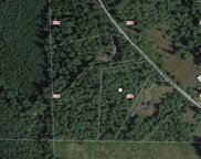 30918 Bumgarner Road, Arlington image
