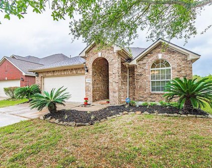13601 May Pine Court, Rosharon