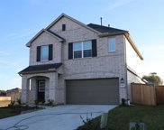 17407 Cyprian Cedar Lane, New Caney image