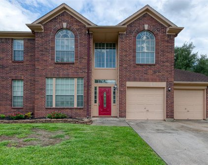 4803 Widerop Lane, Friendswood