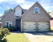 5513 Garden Valley Lane, Pinson image