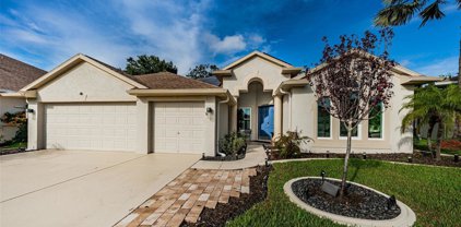 2911 Punta Palma Court, Holiday