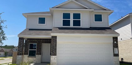 25403 Lobelia Blossom Lane, Magnolia