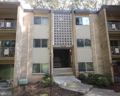 12411 Braxfield Ct Unit #536, Rockville