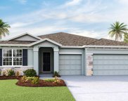 32171 Conchshell Sail Street, Wesley Chapel image