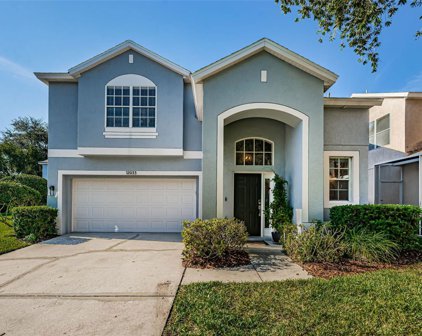 12033 Abbywood Lane, Tampa