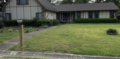 3 Silver Fox, Jacksonville