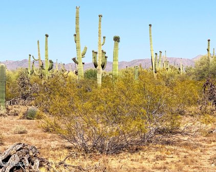 E Hemlock, Marana