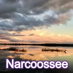 Narcoossee Florida Homes for Sale