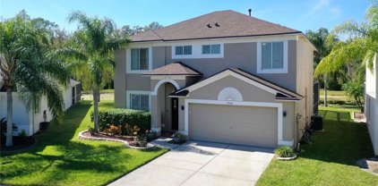 25143 Geddy Drive, Land O' Lakes