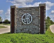 29435 Pearwood Drive, Fulshear image
