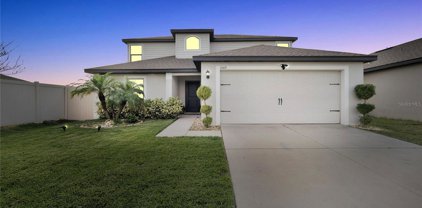 1009 Wynnmere Walk Avenue, Ruskin