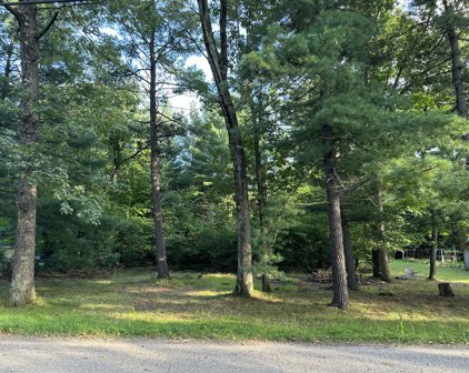 5534 King Street, Newaygo