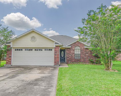 1163 Carey Drive, Angleton