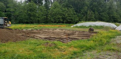 24405 Jenewein Drive, Maple Ridge