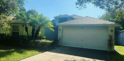 13405 Fawn Springs Drive, Tampa
