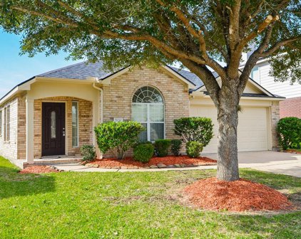 7626 Butler Lakes Court, Rosenberg