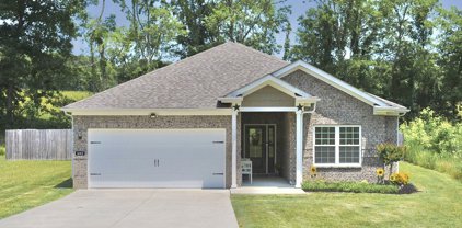 602 Fredericksburg Dr, Gallatin