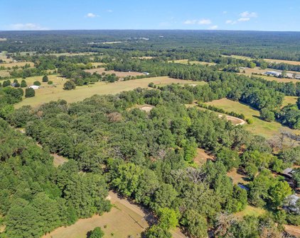 LOT 1 BLOCK 2 COUNTY ROAD 2138 (OLD TYLER HWY), Troup