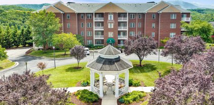 4438 Pheasant Ridge Sw Rd Unit #206, Roanoke