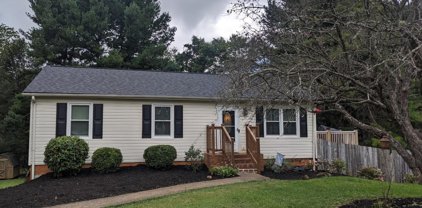 103 S Lindale Court, Forest