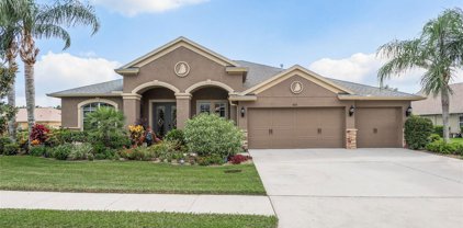 8721 Crystal Creek Court, Land O' Lakes