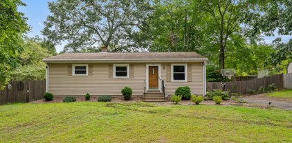 295 Newhouse Street, Springfield