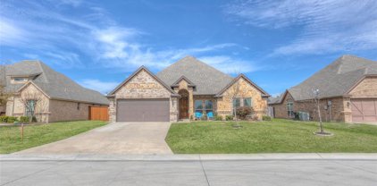 161 Whitetail  Drive, Willow Park