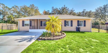 5759 Viburnum Court, Polk City