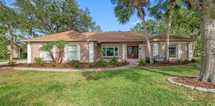 18507 Putters Place, Tampa