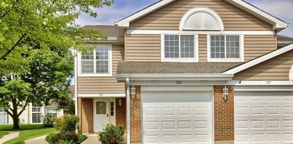 729 W Happfield Drive Unit #729, Arlington Heights