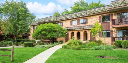 8100 Woodglen Lane Unit #203, Downers Grove