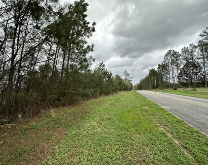 Tract#6201 8 Mile Cemetery Road Unit #SN, Defuniak Springs