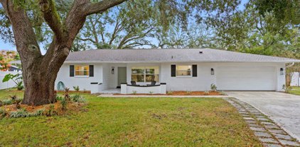2556 Lake Ellen Circle, Tampa