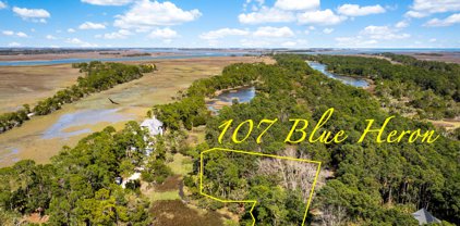 107 Blue Heron Pond Road, Kiawah Island