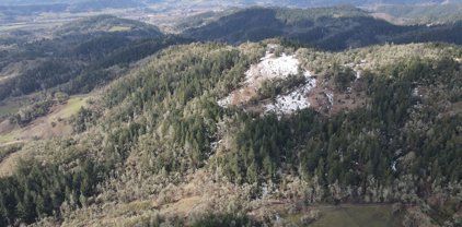 BROZIO RD, Roseburg