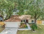 1502 Norwick Drive, Lutz image