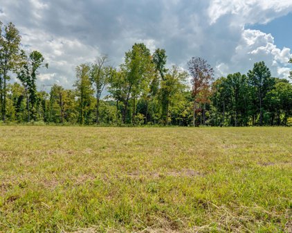 Carney Winters Rd, Ashland City